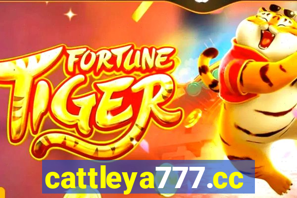 cattleya777.cc
