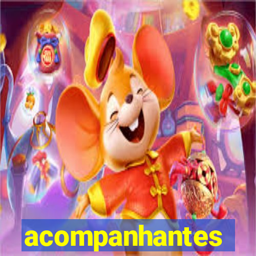 acompanhantes chamadas de video