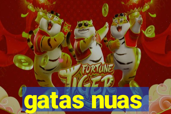 gatas nuas