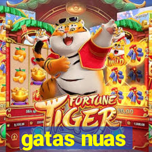 gatas nuas