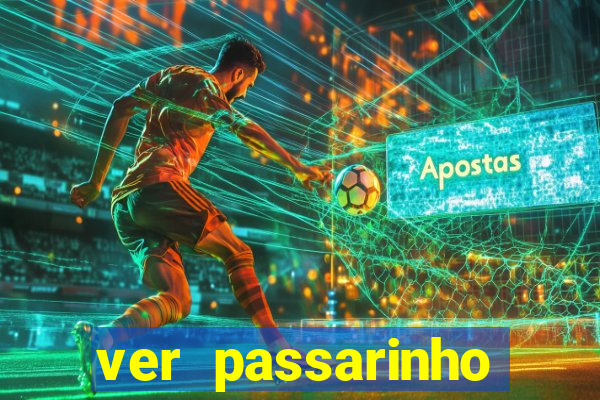 ver passarinho morto significado espiritual