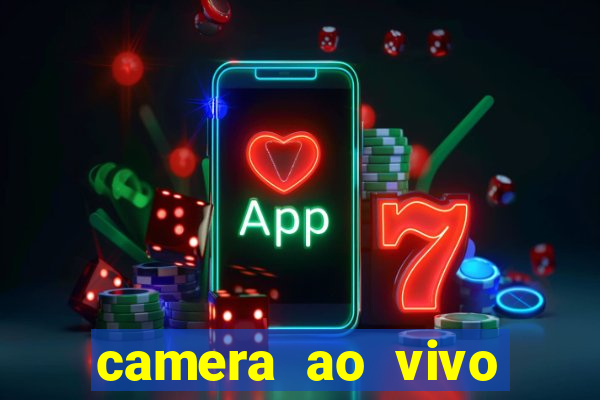 camera ao vivo porto de galinhas