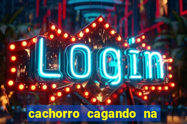 cachorro cagando na camisa do corinthians